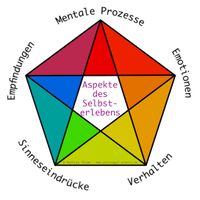 Fünf Aspekte des Selbsterlebens